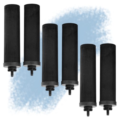 Black Berkey® Purification Elements (6-Pack, Next Day Delivery)