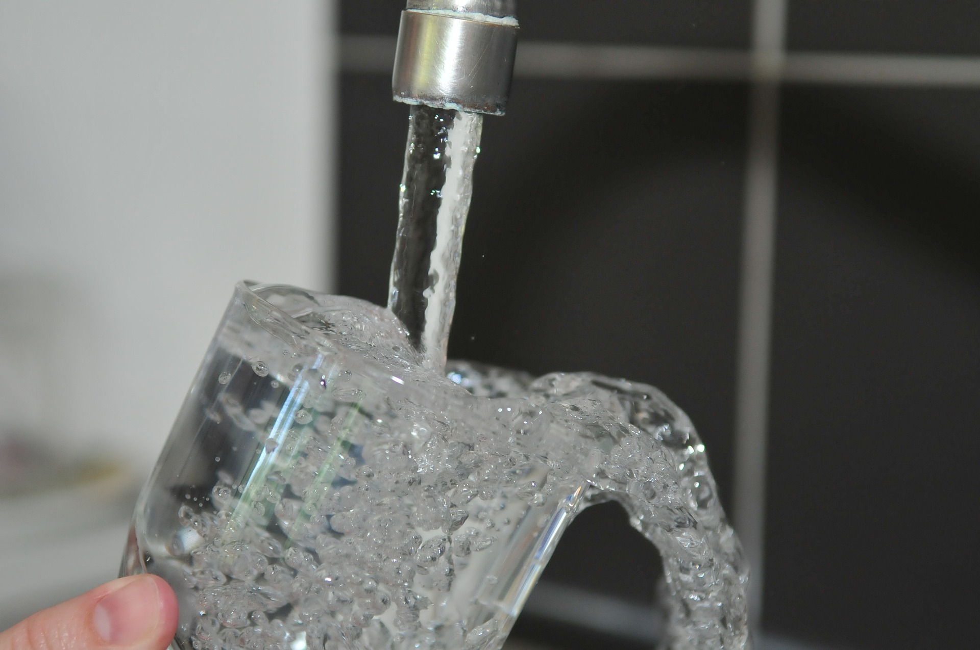 USABF Tap Water